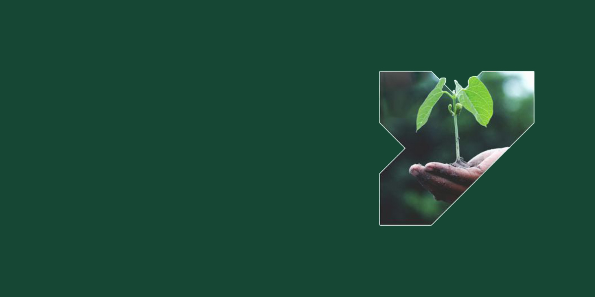 york for life logo with a hand holding a plant